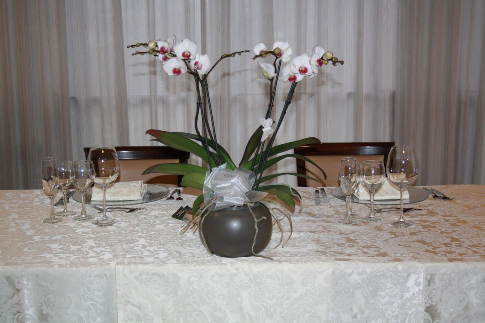 Ristorante Cicin 3*